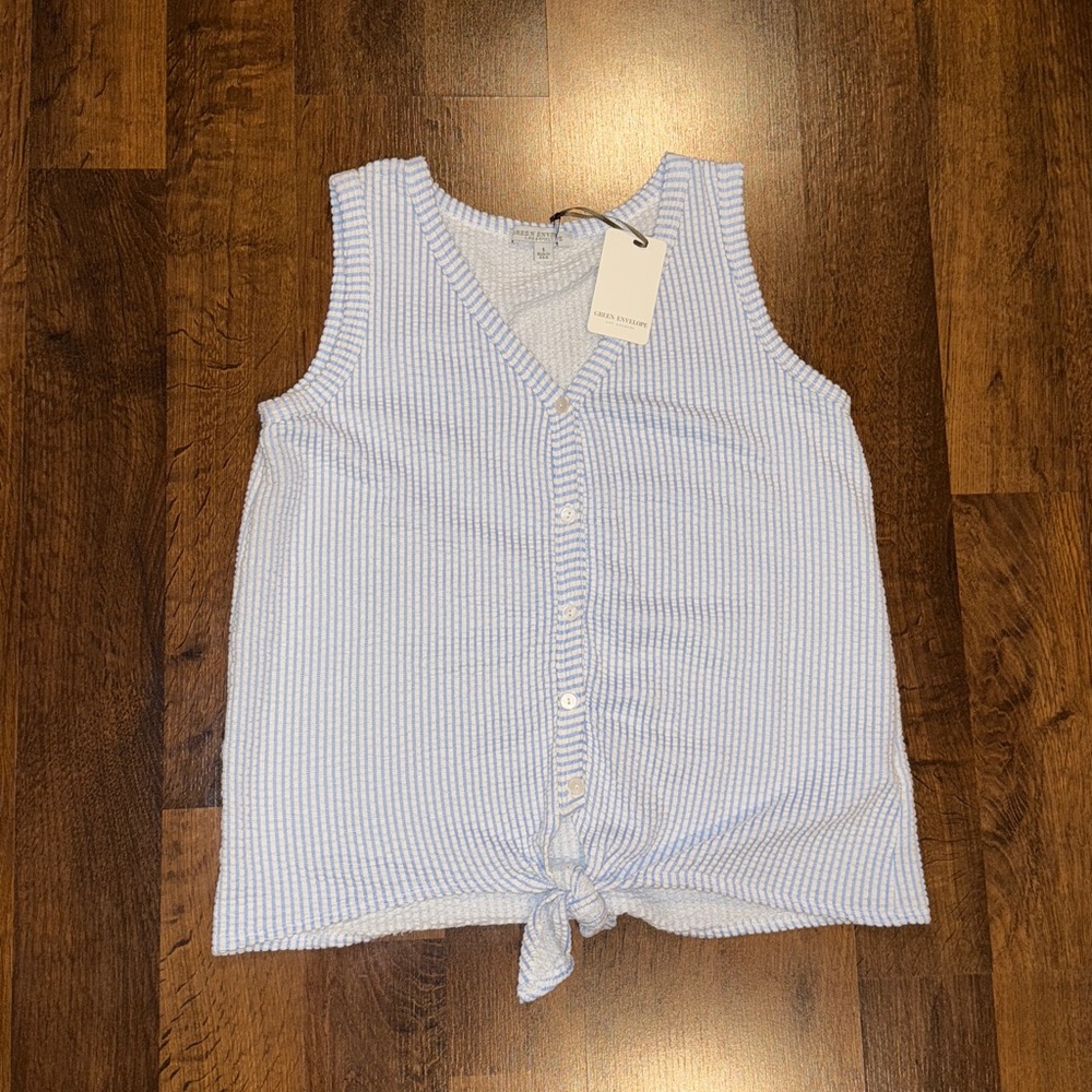 NWT Green Envelope Los Angeles Light Blue & White PinStripe Button-Down Top LAR